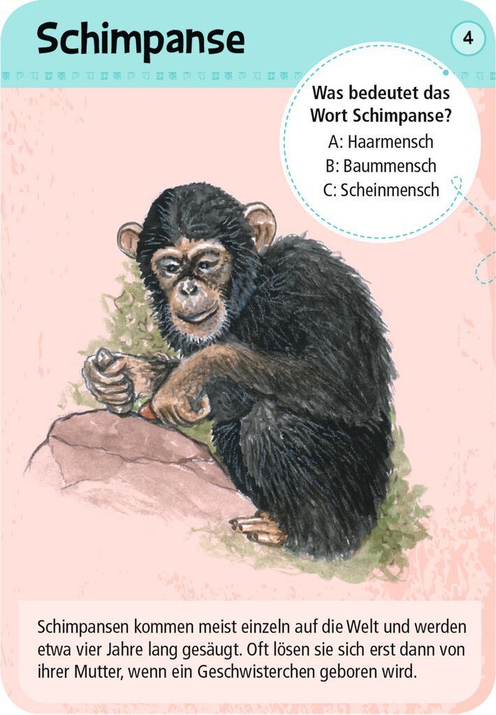 Expedition Natur 50 Tierkinder - Moses