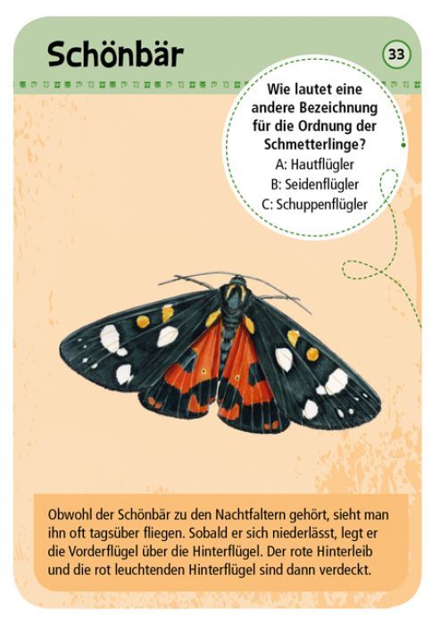 Expedition Natur 50 heimische Schmetterlinge - Moses