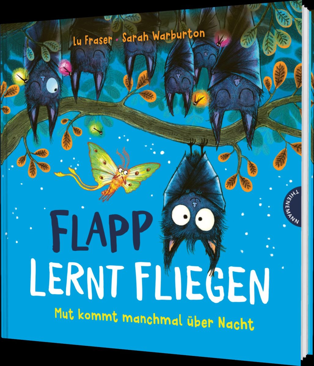 Flapp lernt Fliegen 4+