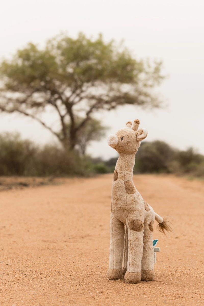 Kuschelgiraffe Safari Friends - Little Dutch