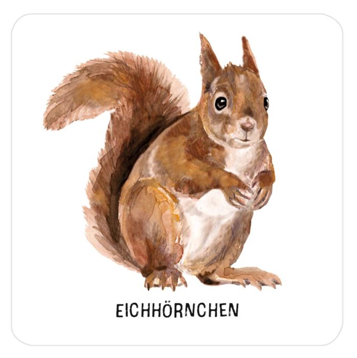 Expedition Natur Das große Tierspuren Memo