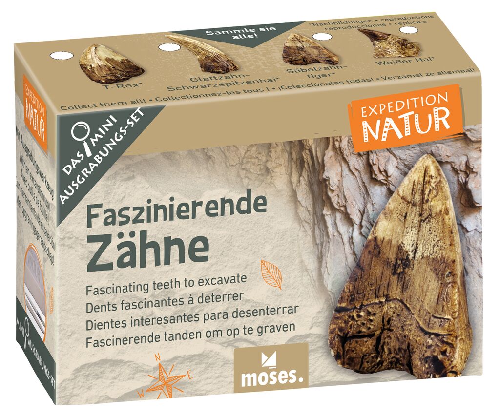 Expedition Natur Mini-Ausgrabungsset (1 Stück - verschiedene Designs)