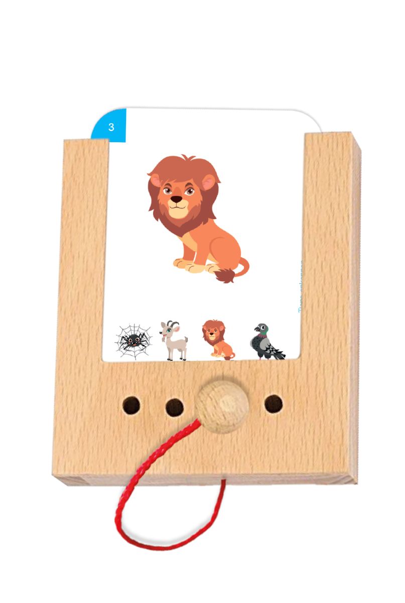 Erste Übungen - Tiere erkennen 2+ - Kölner Lernspielverlag