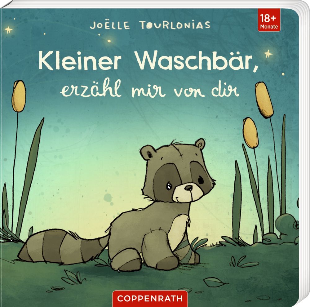 Kleiner Waschbär, erzähl mir von dir (J. Tourlonias) 18M+