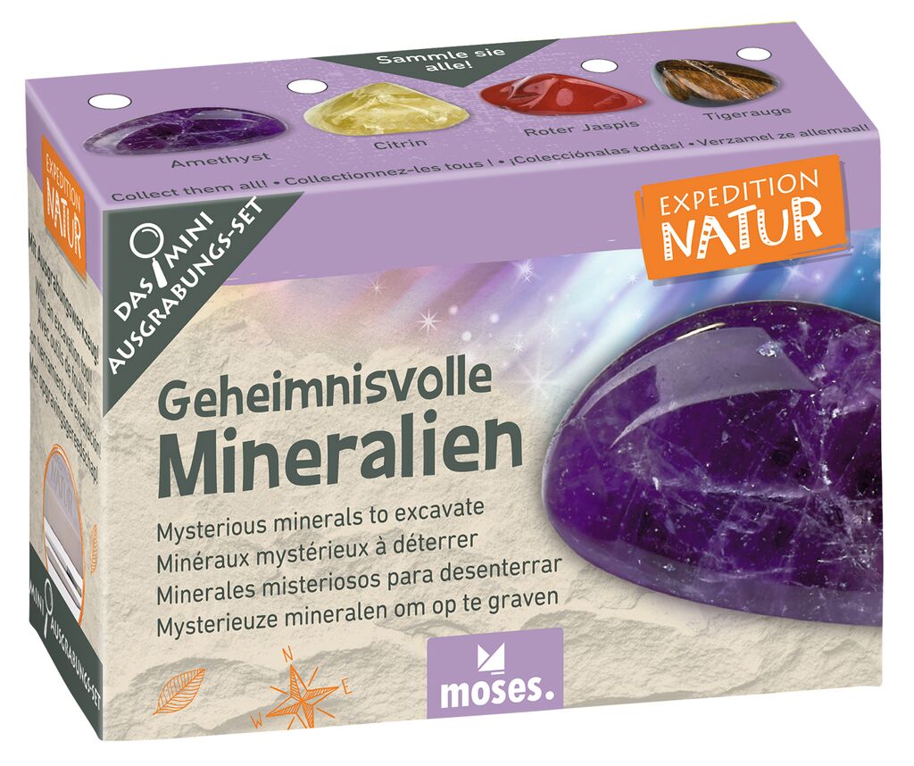 Expedition Natur Mini-Ausgrabungsset (1 Stück - verschiedene Designs)