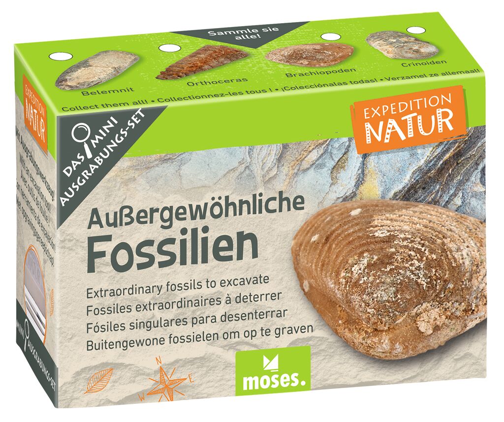 Expedition Natur Mini-Ausgrabungsset (1 Stück - verschiedene Designs)
