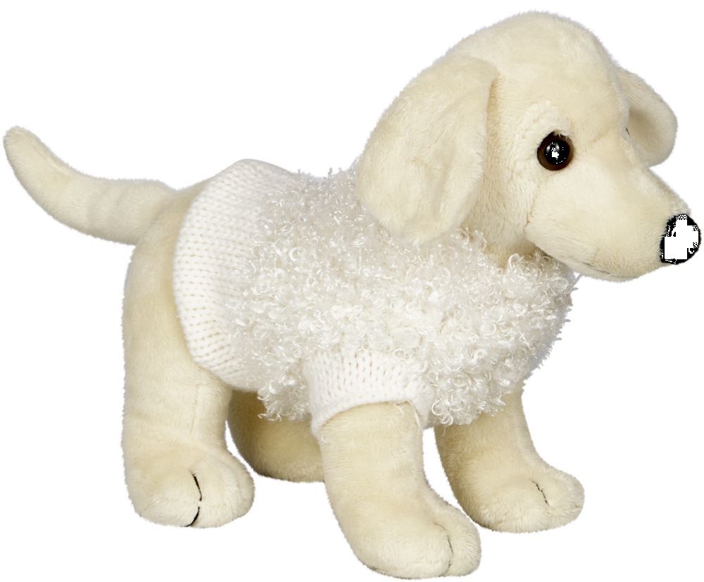 Labrador Fee - Lustige Tierparade