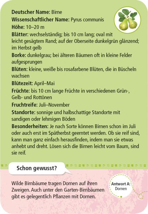 Expedition Natur 50 heimische Garten- & Feldpflanzen - Moses
