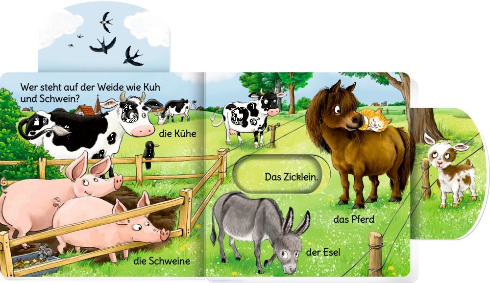 minifanten 49: Schieb mal, sag mal! Wer wohnt auf dem Hof?