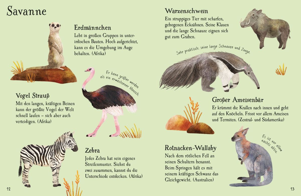 Usborne Minis Naturführer: Zootiere 6+