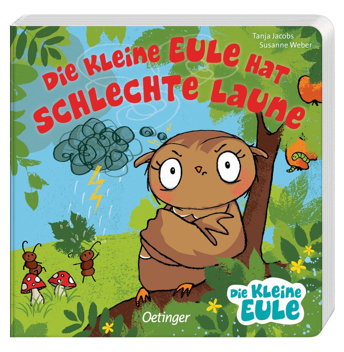 Die kleine Eule hat schlechte Laune 18M+
