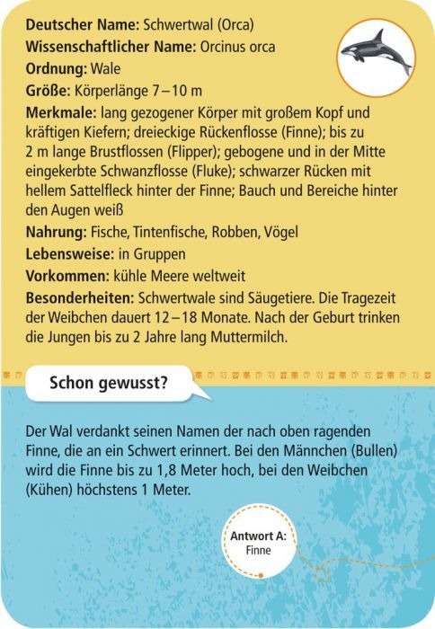 Expedition Natur 50 Meerestiere - Moses