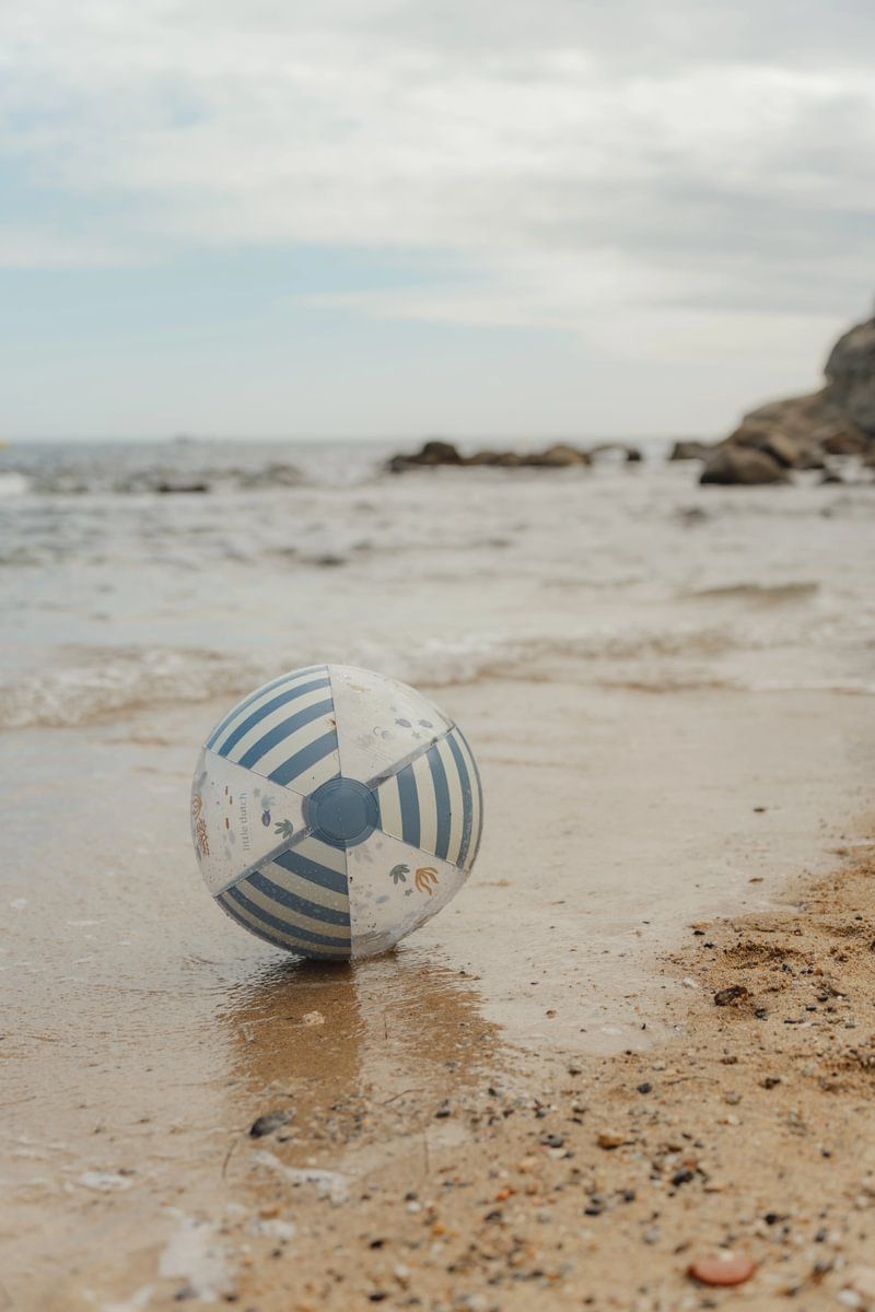 Strandball Ocean World 35cm - Little Dutch