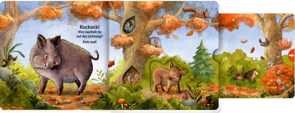 Zieh mal! Kuckuck, es wimmelt im Wald! +18M