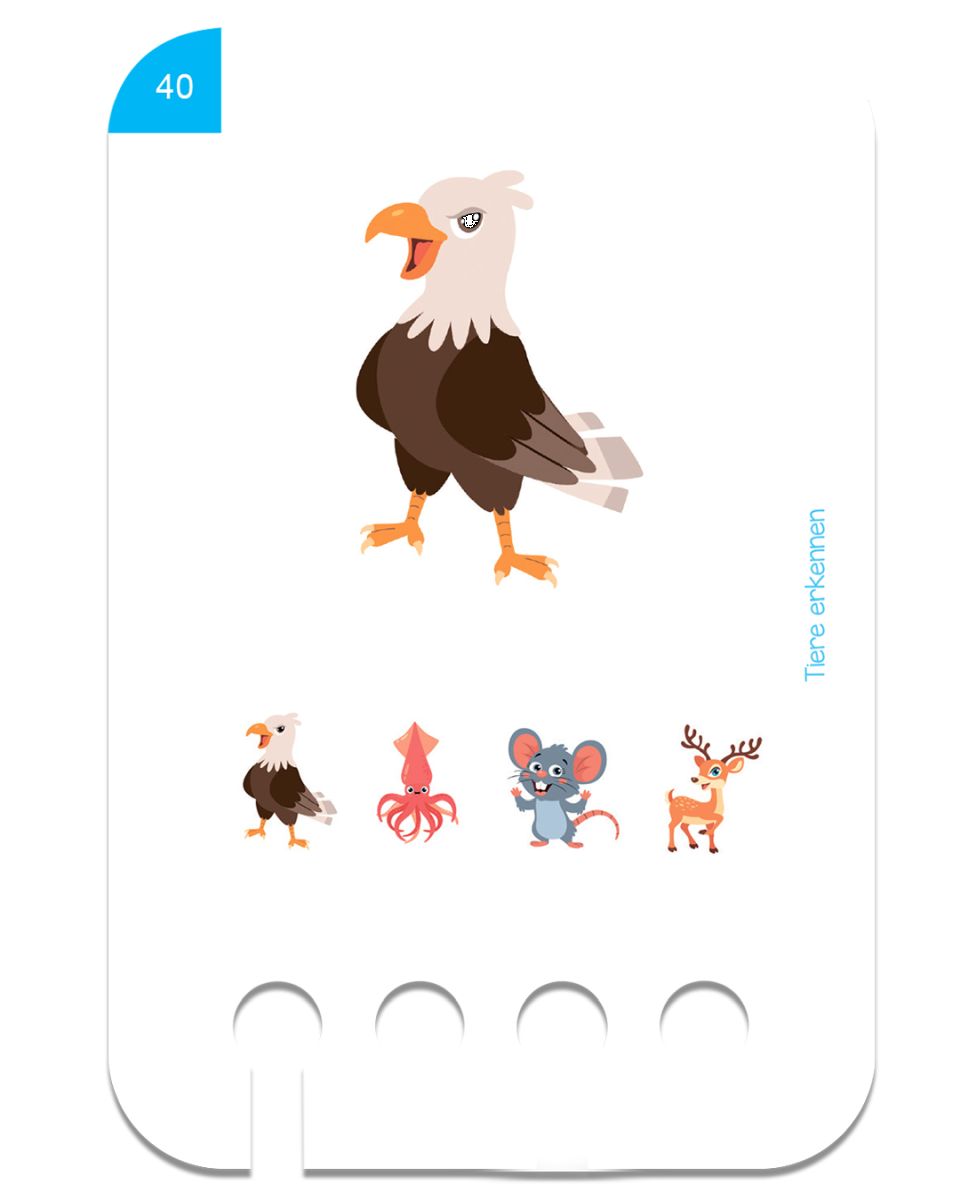 Erste Übungen - Tiere erkennen 2+ - Kölner Lernspielverlag