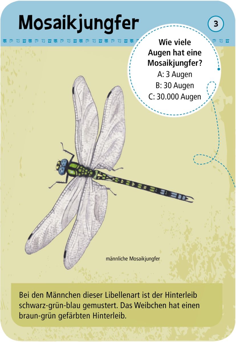 Expedition Natur 50 heimische Insekten & Spinnen  - Moses