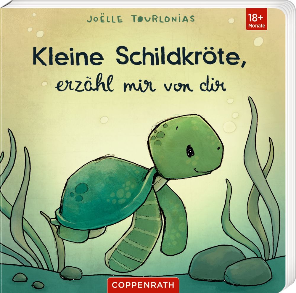 Kleine Schildkröte, erzähl mir von dir (J.Tourlonias)