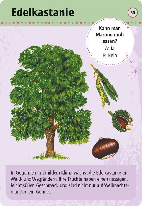 Expedition Natur 50 essbare Wildpflanzen - Moses