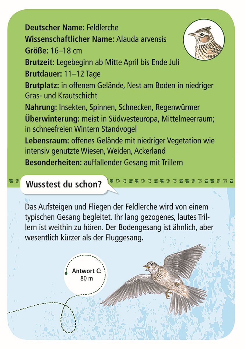 Expedition Natur 50 heimische Vögel  - Moses
