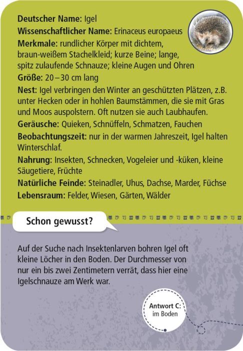 Expedition Natur 50 Tiere der Nacht - Moses