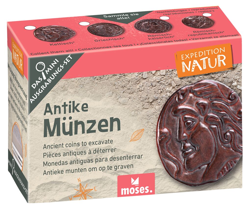 Expedition Natur Mini-Ausgrabungsset (1 Stück - verschiedene Designs)