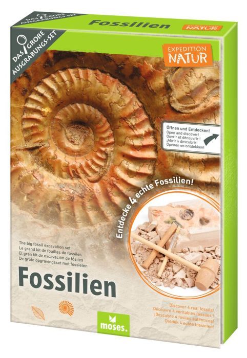 Expedition Natur Das große Fossilien-Ausgrabungs-Set