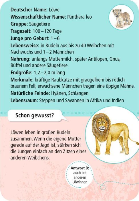 Expedition Natur 50 Tierkinder - Moses