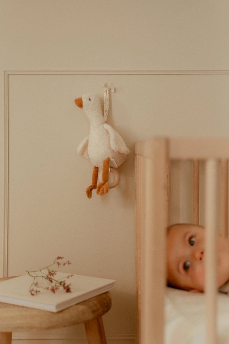 Spieluhr Little Goose - Little Dutch