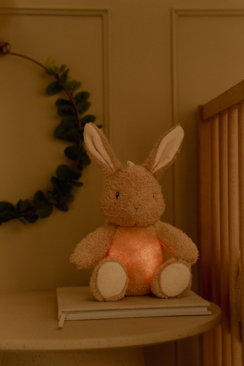 Kuschelhase Licht und Sound - Little Dutch
