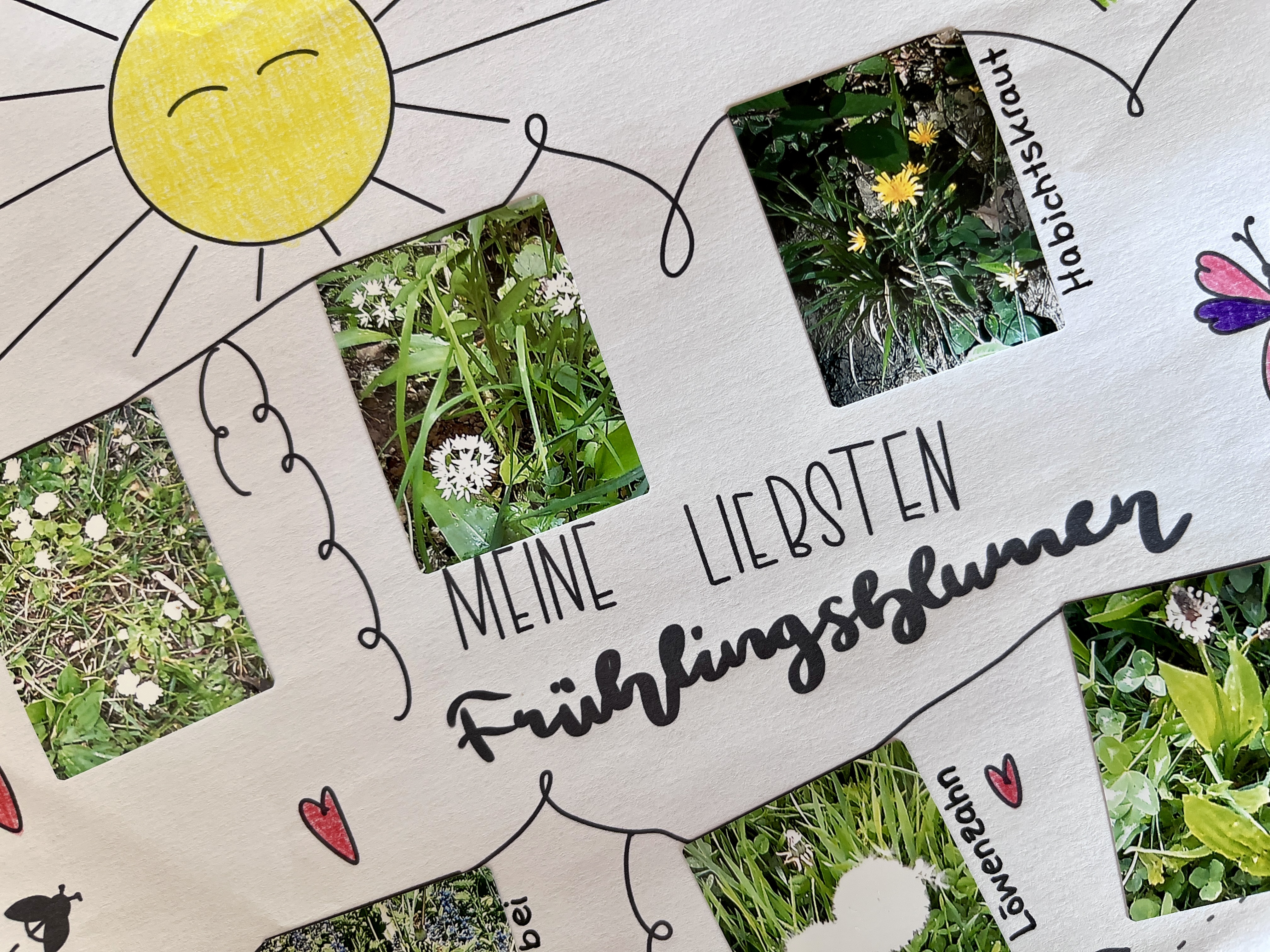 Frühling durch Kinderaugen – unsere Hoppstar-Fotochallenge für kleine Entdecker!