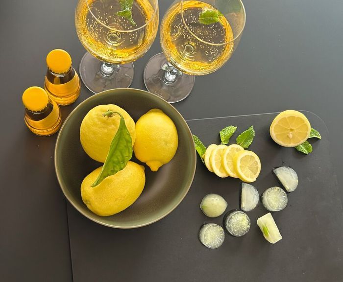 Eiswürfelform Freezy Lemon