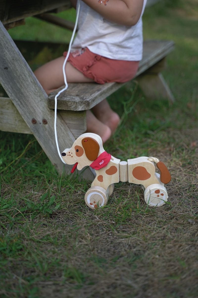 Ziehtier Hund Max - Goki