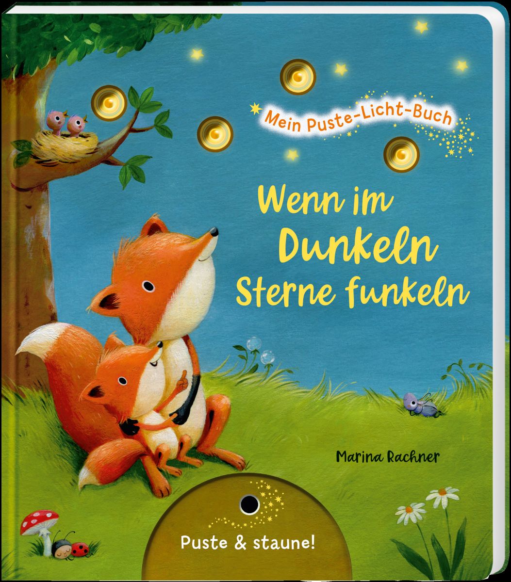 Wenn im Dunkeln Sterne funkeln - Mein Puste-Licht-Buch 18M+