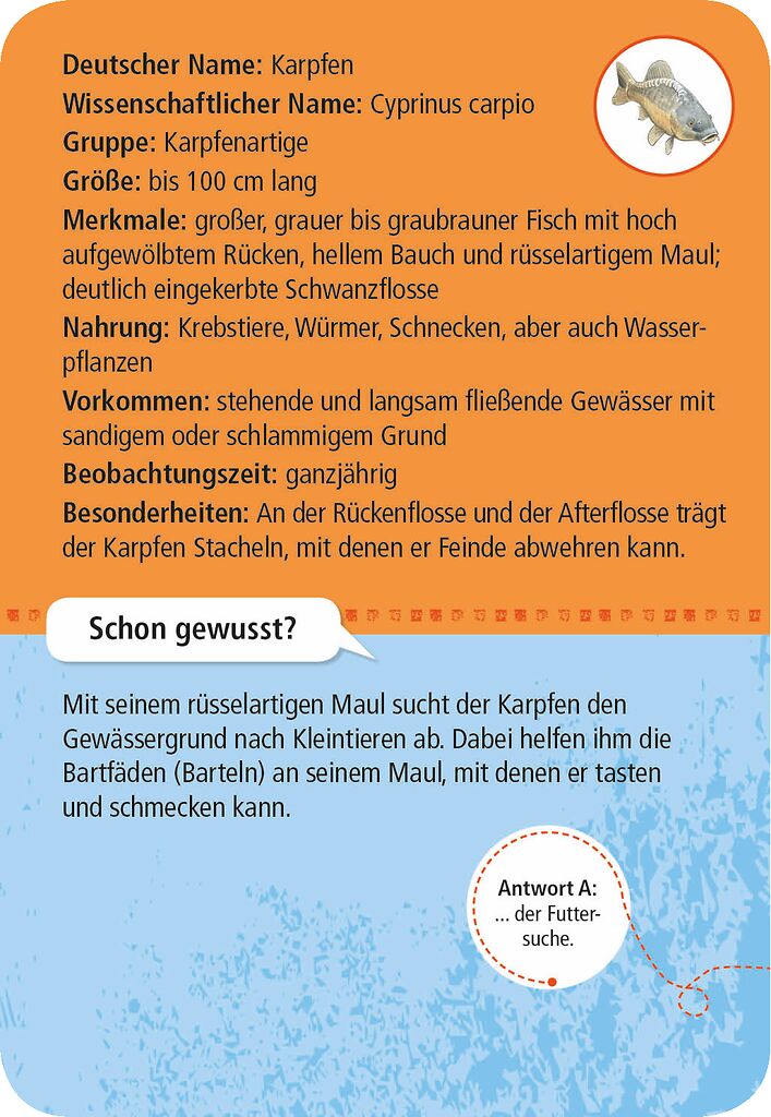 Expedition Natur 50 heimische Tiere & Pflanzen an Bach und Teich - Moses (versch. Designs, 1 Stück)