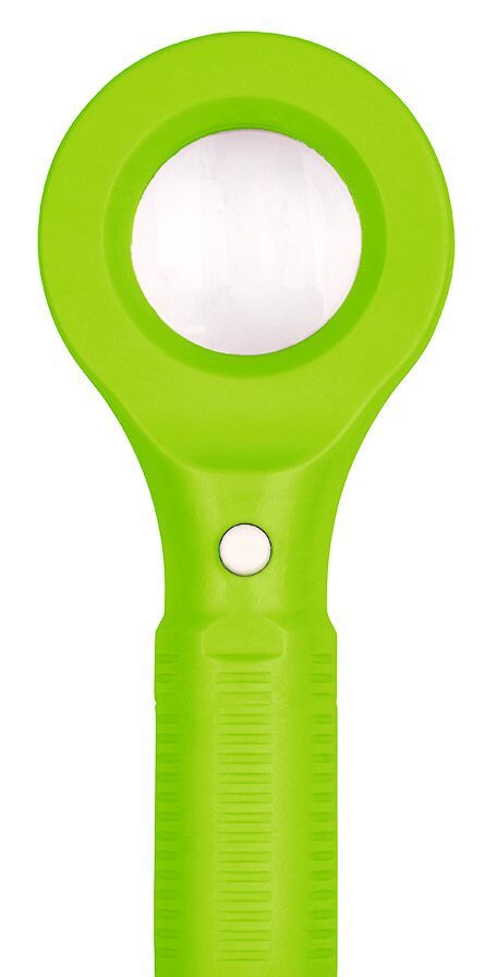 Expedition Natur LED-Taschenlupe (verschiedene Farben, 1 Stück)