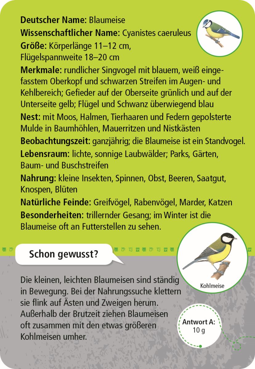 Expedition Natur 50 heimische Tiere in Stadt & Garten - Moses