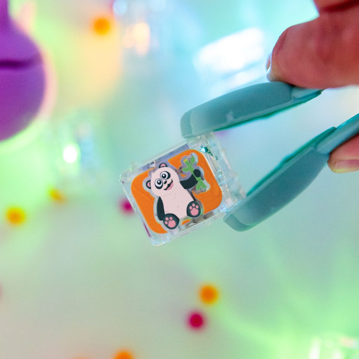Glo Pals Leuchtende Badewürfel Zany Zoo (6er Set)