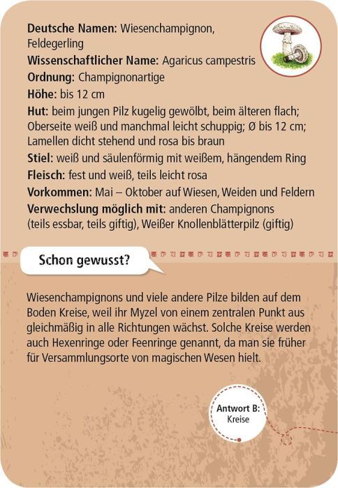 Expedition Natur 50 heimische Pilze