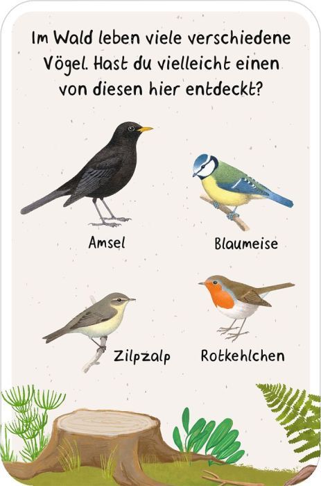 50 Entdeckerkarten - Suchspiele in der Natur