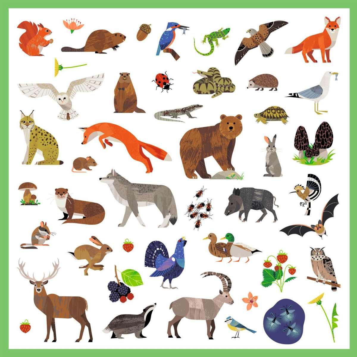 Sticker: Tierwelt - Djeco