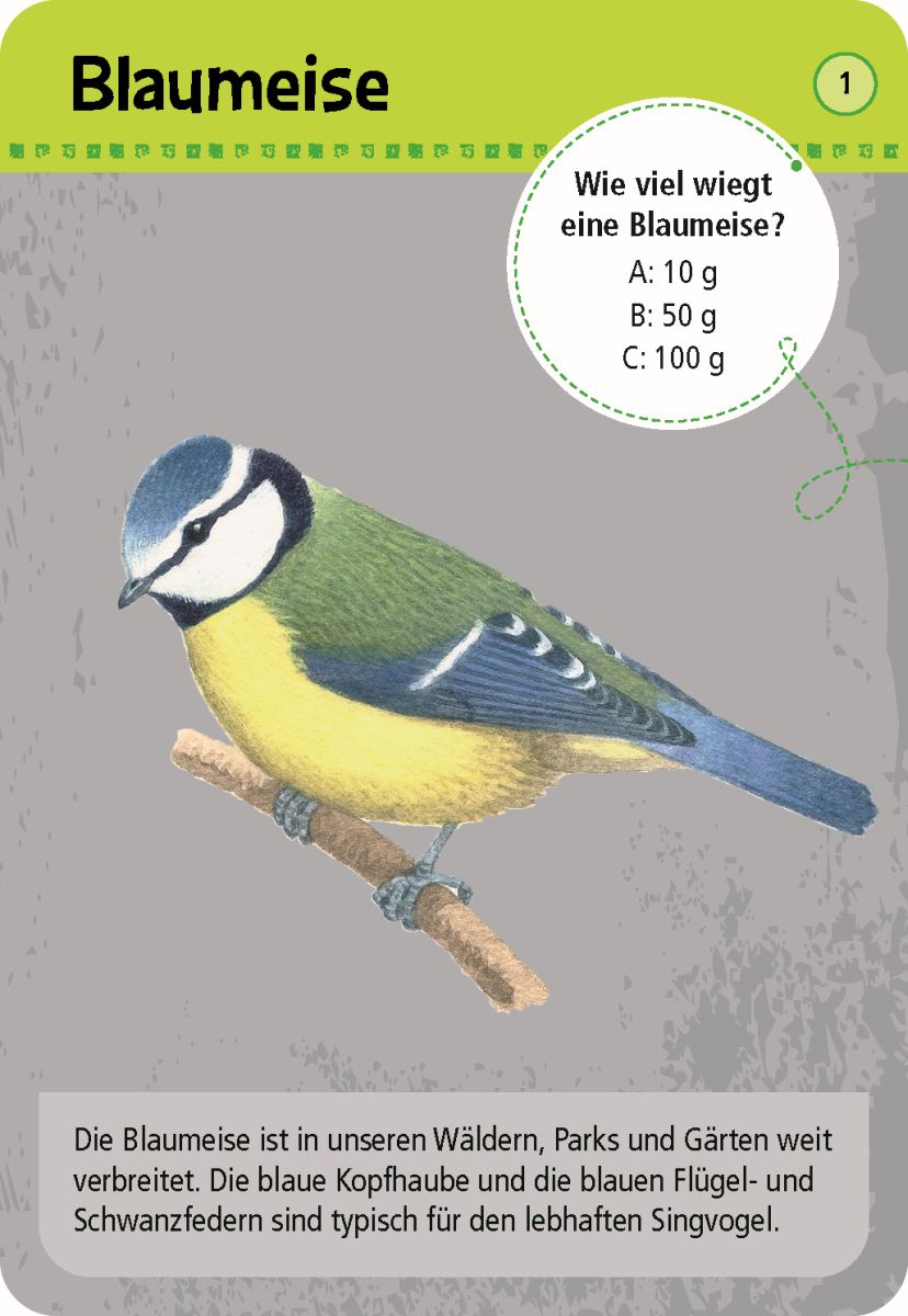 Expedition Natur 50 heimische Tiere in Stadt & Garten - Moses