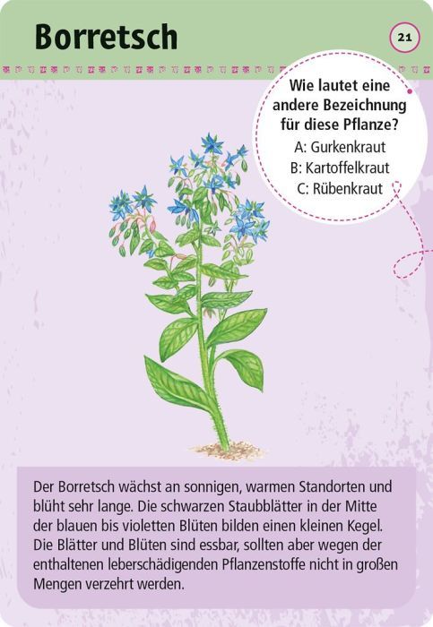 Expedition Natur 50 essbare Wildpflanzen - Moses