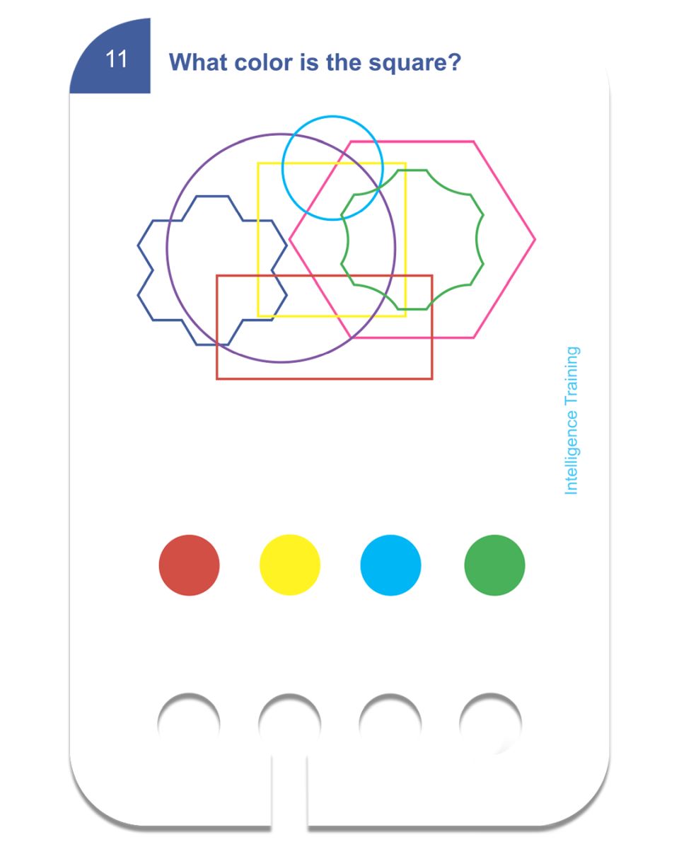 Intelligenz Training 6+ - Kölner Lernspielverlag
