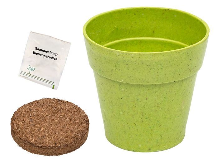 Mein Zaubergarten Anzuchtset für Insekten (verschiedene Designs, 1 Stück)