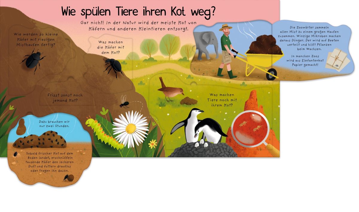Erstes Aufklappen und Verstehen: Alle müssen mal - und dann? 4+