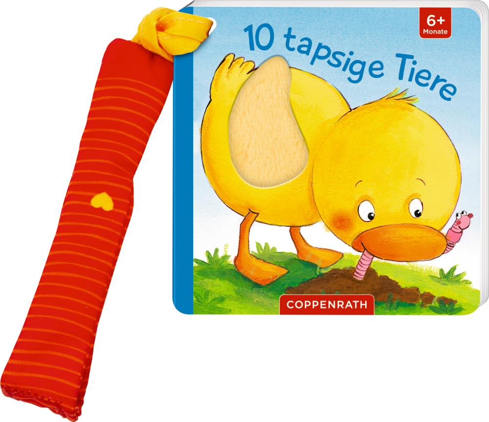 Mein 1. Fühl-Buch für den Buggy: 10 tapsige Tiere (Fühlen & begreifen)
