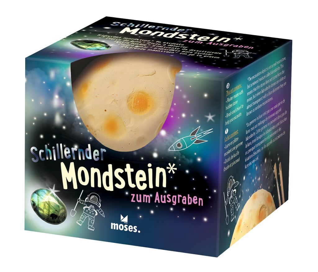 Mondsteine zum Ausgraben (verschiedene Designs, 1 Stück)