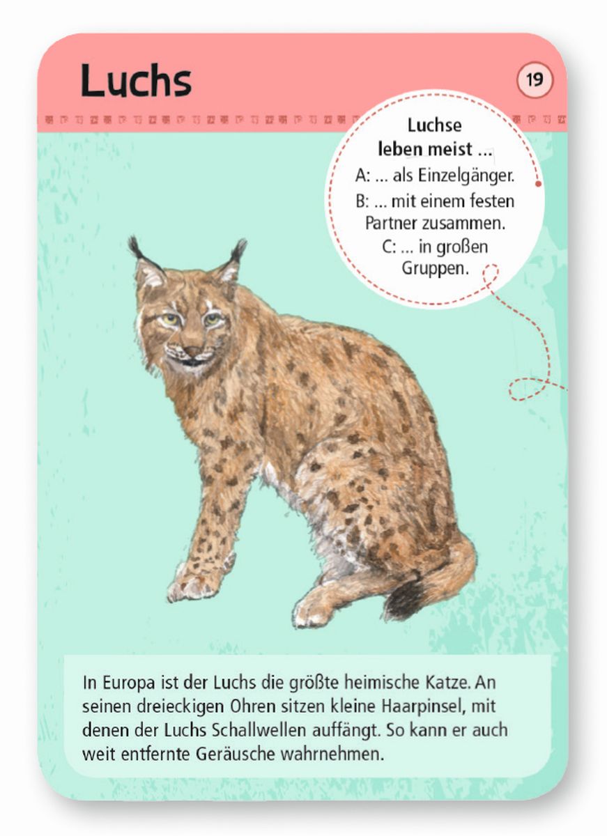 Expedition Natur 50 heimische Wald- & Wildtiere - Moses
